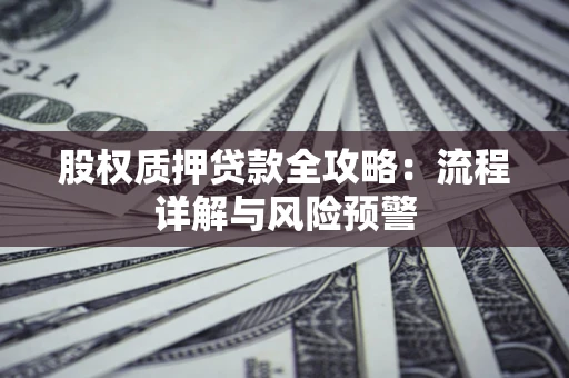 北京股权质押贷款全攻略：流程详解与风险预警