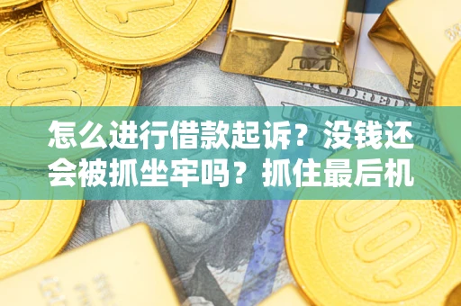 北京怎么进行借款起诉？没钱还会被抓坐牢吗？抓住最后机会！