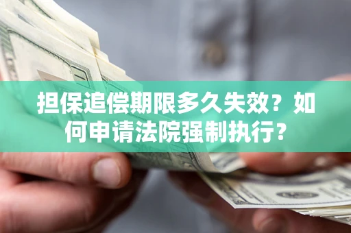 北京担保追偿期限多久失效？如何申请法院强制执行？