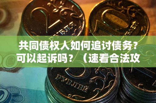 北京共同债权人如何追讨债务？可以起诉吗？（速看合法攻略）